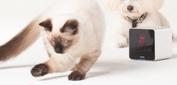 Play with Your Pet from Anywhere with the Petcube