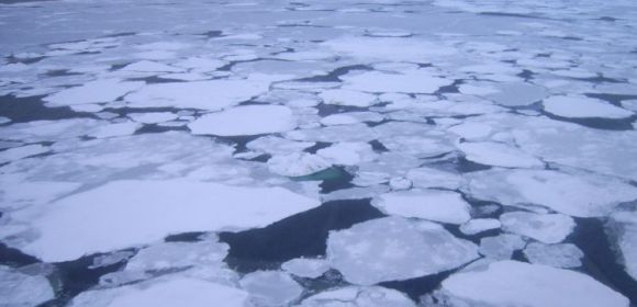Polar Sea Ice Thickness Is No Mystery for SMOS