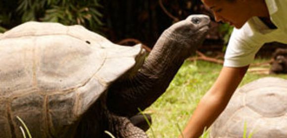 Rare $3000 (€2,313) Tortoise Sold for $45 (€34.7) by “Professional” Wildlife Trafficker