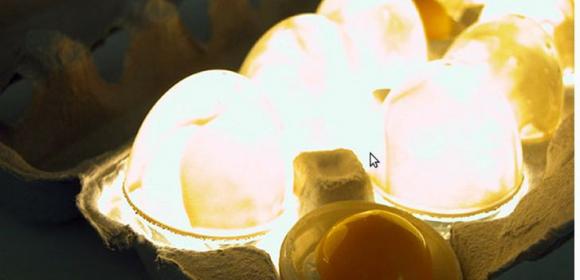 Recycled Egg Carton Turned into Sustainable Lamp