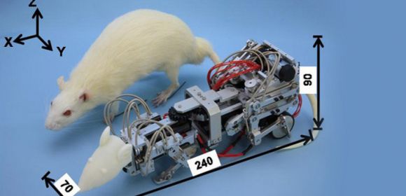 Robo-Rat Created to Depress Normal Rats