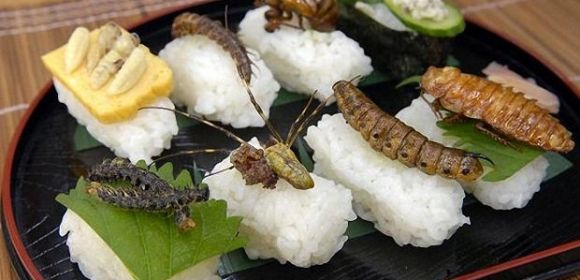 Scientist Reveals the Top 7 Reasons to Eat Insects