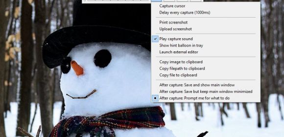 Screenshot Captor Review: One of the Best Graphic Screen Capture Applications