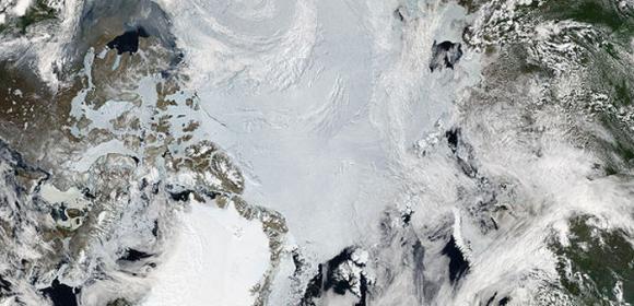 Sea Ice Decline Promotes Ozone Depletion