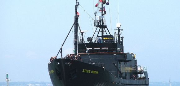 Sea Shepherd's Anti-Whaling Intervention Disrupted by Waves