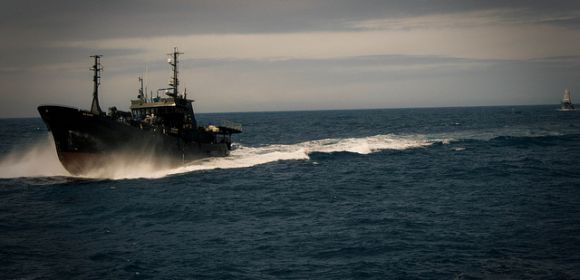 Sea Shepherd Activists Injured During Anti-Whaling Operation