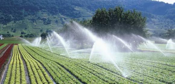 Small-Scale Irrigation Schemes Now Argued to Ensure Food Security