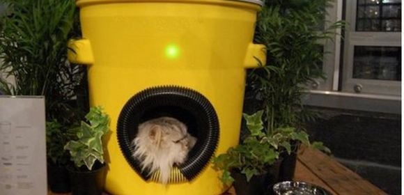Solar-Powered Houses for Eco-Conscious Pets