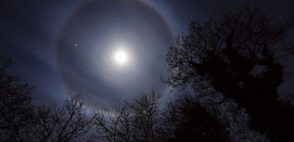 Spooky Halo Forms Around the Moon, Everybody Goes Bananas