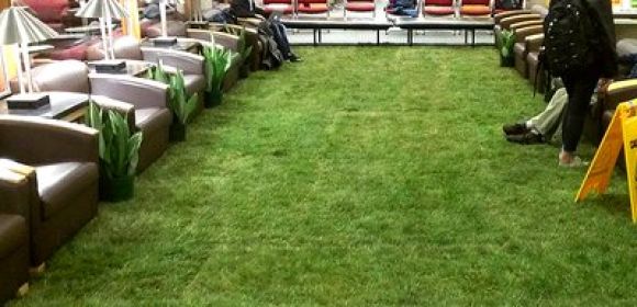 Spotlight: Indoor Lawn Helps Cornell Students Relax