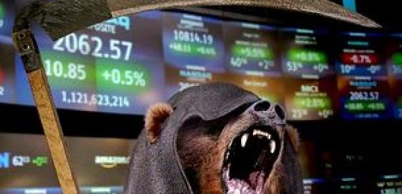 Stock Markets React to Stress Like Plants and Animals Do
