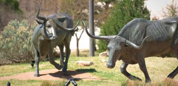 Teen Dies by Getting Impaled in Texas Tech Bull Statue During Hide-and-Seek