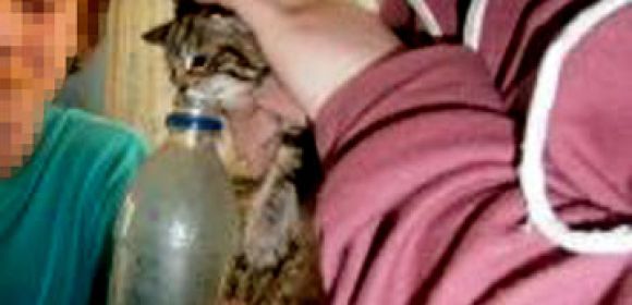 Teens Force Kitten to Get High on Cannabis