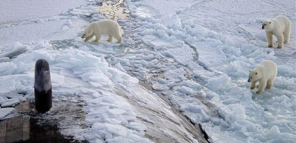 The Arctic Risks Losing Its Ices for Good by 2100