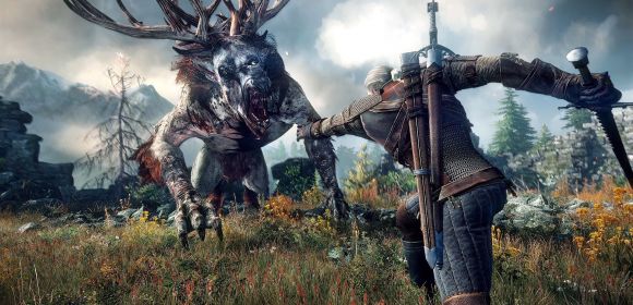 The Witcher 3: Wild Hunt Gets Fresh Combat Details