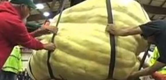 The World's Largest Pumpkin Weighs 2,009 Pounds (911.26 Kilograms)