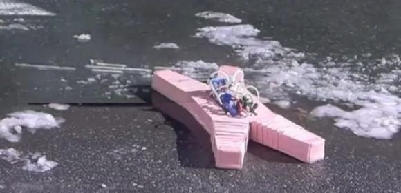 The World's Strongest Robot Is a Starfish, Survives Flames, Snow, and Cars – Video