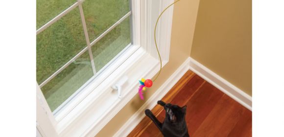 These Cat Toys Are Solar-Powered