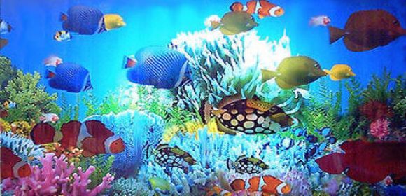 Things to Consider Before Buying a Fish Tank