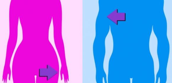 Watch: Science Video Explains Gender Transition