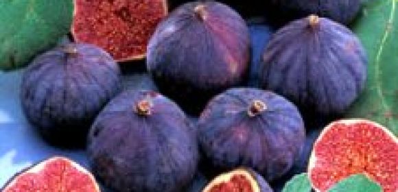 Why Figs Are Good for Your Health