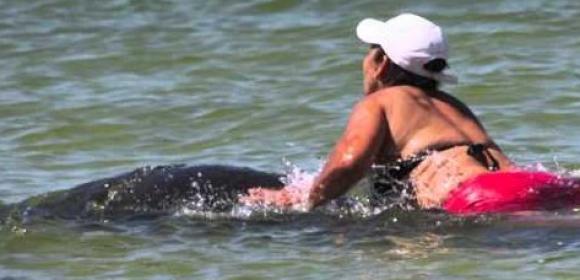 Woman Decides to Ride a Manatee for Fun, Soon Realizes Her Mistake