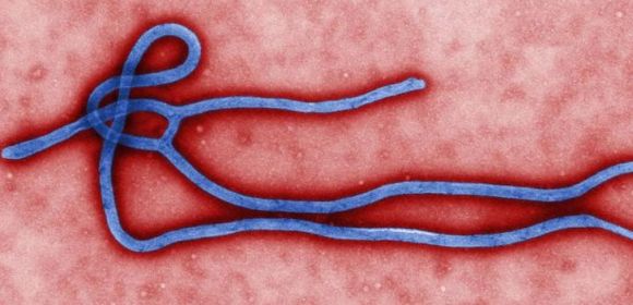 World Health Organization OKs Ebola Drug Trials