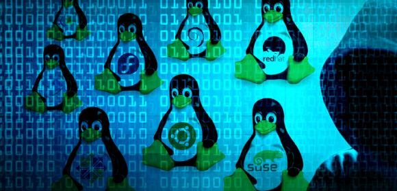 DoS Vulnerabilities Found in Linux Kernel, Unpatched