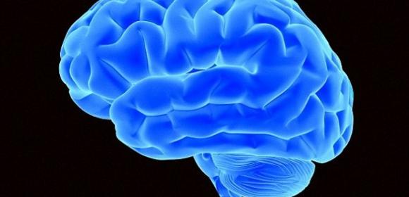 Study Links Schizophrenia to Inflammation in the Brain