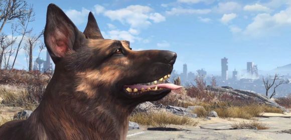Two Fresh Fallout 4 Videos Focus on Dogmeat, Companion System