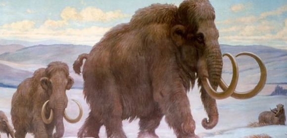 We Killed the Woolly Mammoth, Also the Saber-Toothed Tiger