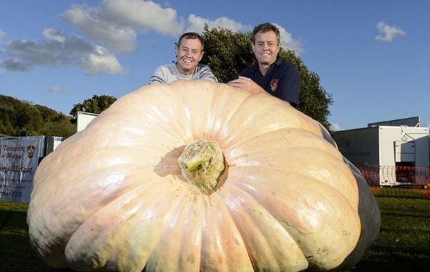 Ian and Stuart Paton pose with their massive pumpkin