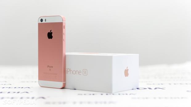 Back view of iPhone SE
