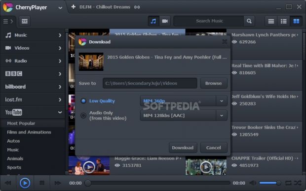 Download online media to local audio or video files