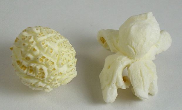Mushroom popcorn (left) and butterfly popcorn (right)