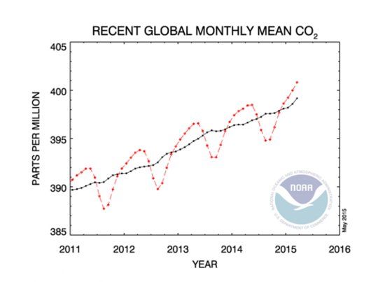 Global CO2 trends