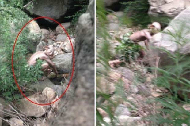 Chinese tourists claims to have snapped photos of Gollum-like monster