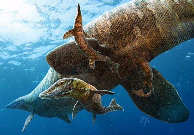 A mosasaurs family