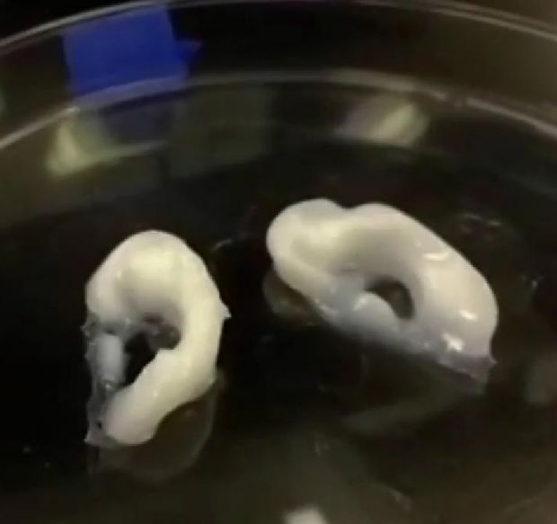 3D printed ears