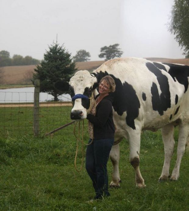 Photo shows Blosom standing next to her owner, Patty Hanson