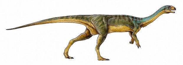 The species roamed earth during the Late Jurassic