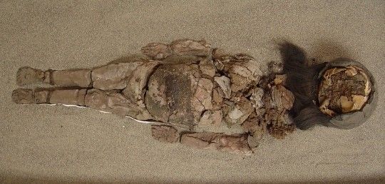 The mummies are degrading because of an increase in the humidity levels they are exposed to