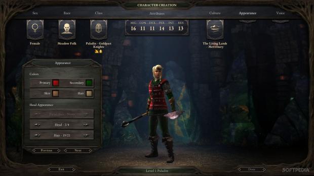 pillars of eternity classes required