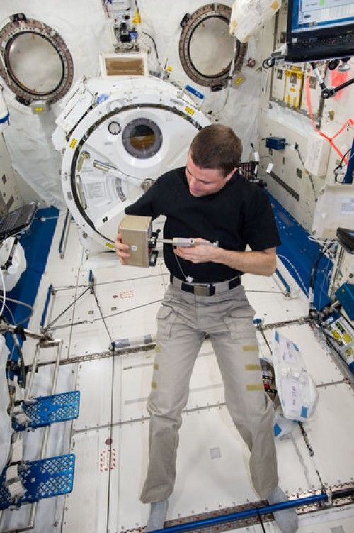 Photo shows astronaut Reid Wiseman treating the seedlings with a special solution