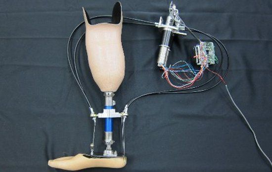 Scientists hope to create artificial limbs that see the road ahead