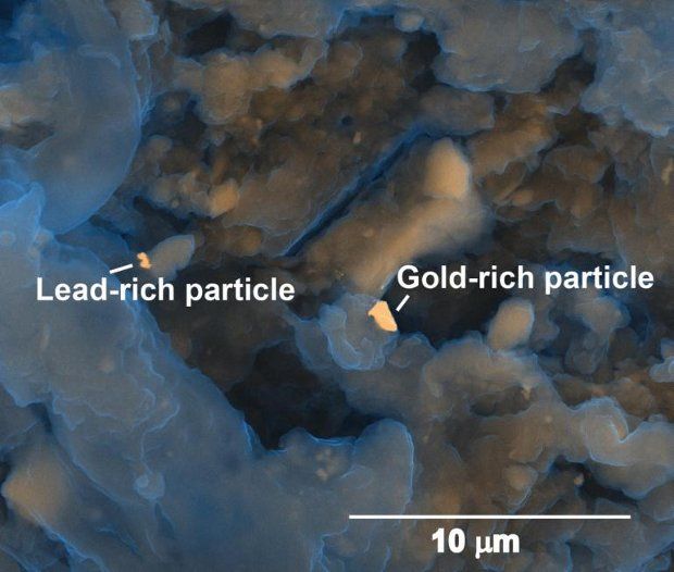 Image shows lead- and gold-rich particles in a municipal biosolids sample