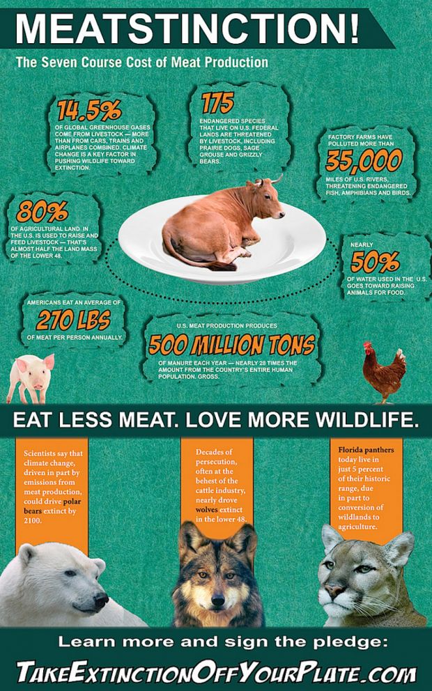 Infographic details how the meat industry affects the natural world
