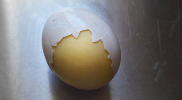 Golden Goosed egg