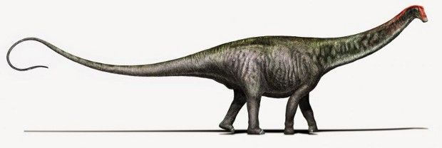 For decades, the Brontosaurus was included in a another genus