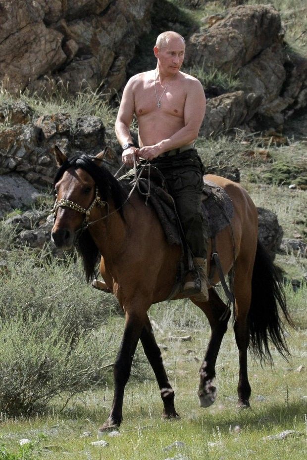 For comparison purposes, here is a photo of the real Vladimir Putin